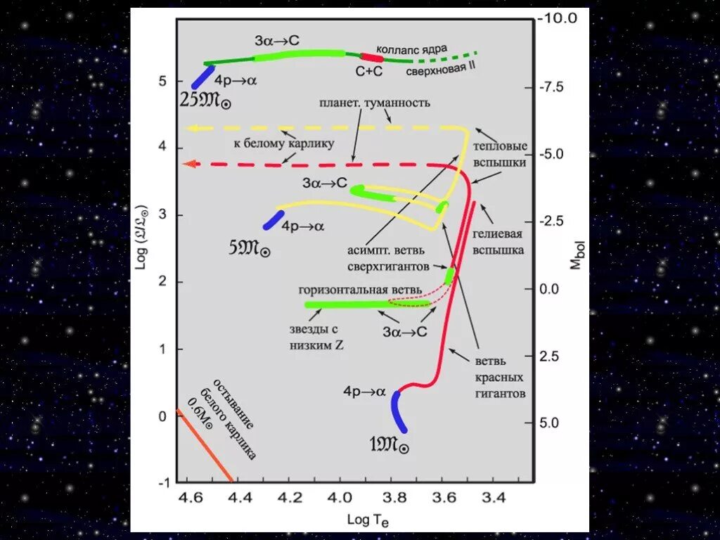 Эволюция звезд астрономия 11