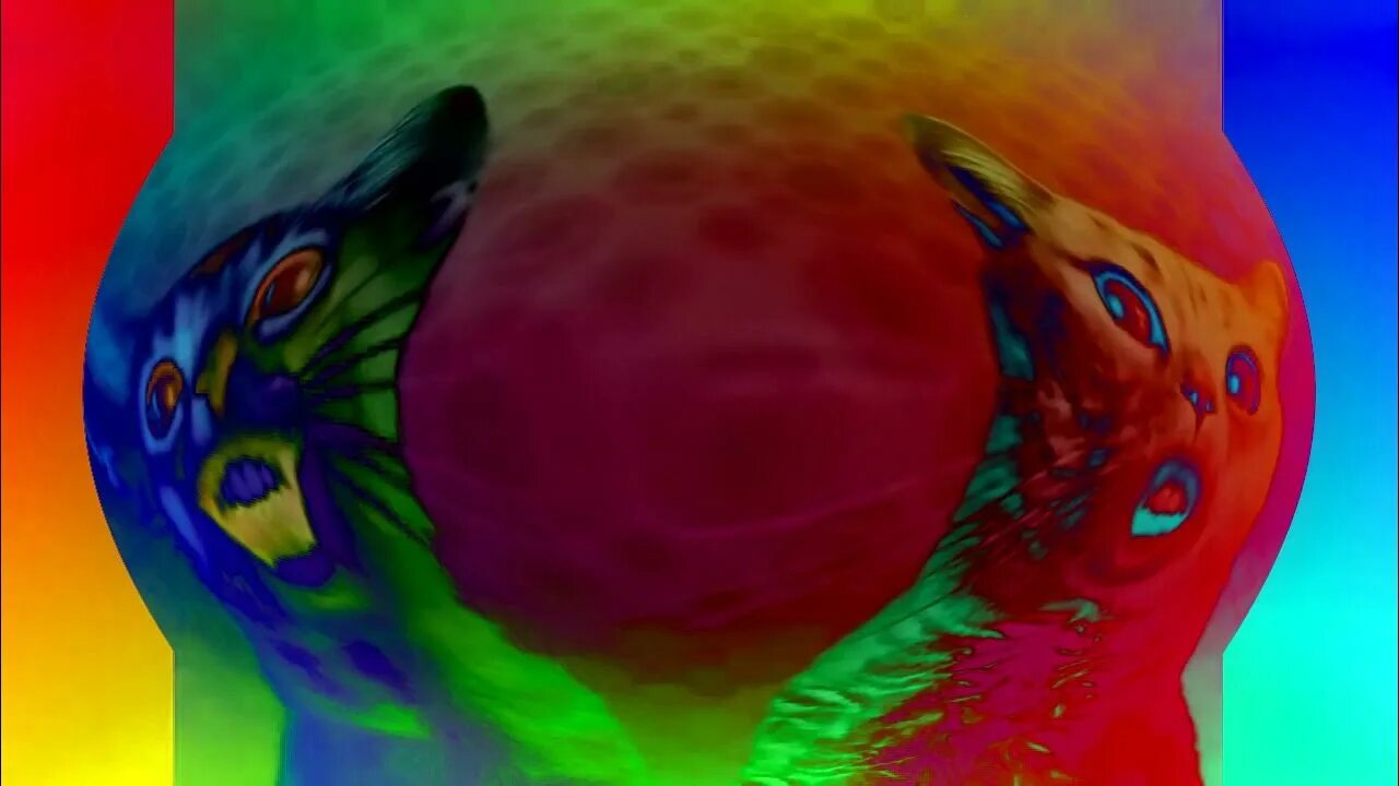 Preview 2 numa cat effects. Too many preview 2 numa cats. numa cat) in dma.