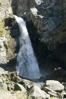 Куркур алтай горный