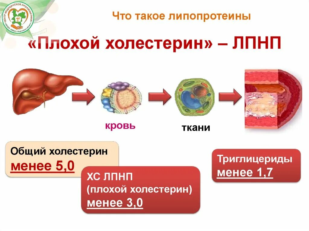 Холестерин липопротеинов высокой плотности. Холестерин лпнп 3,58. плохой холестерин. холестерин низкой плотности. лпнп что это плохой холестерин.
