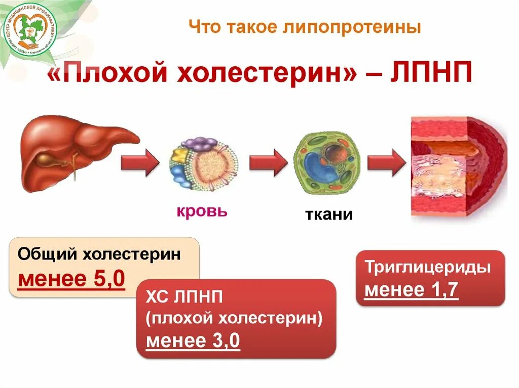 Холестерин ЛПНП 3,58. ЛПНП 3.84 холестерин. Плохой холестерин в крови. Холестерол ЛПНП.