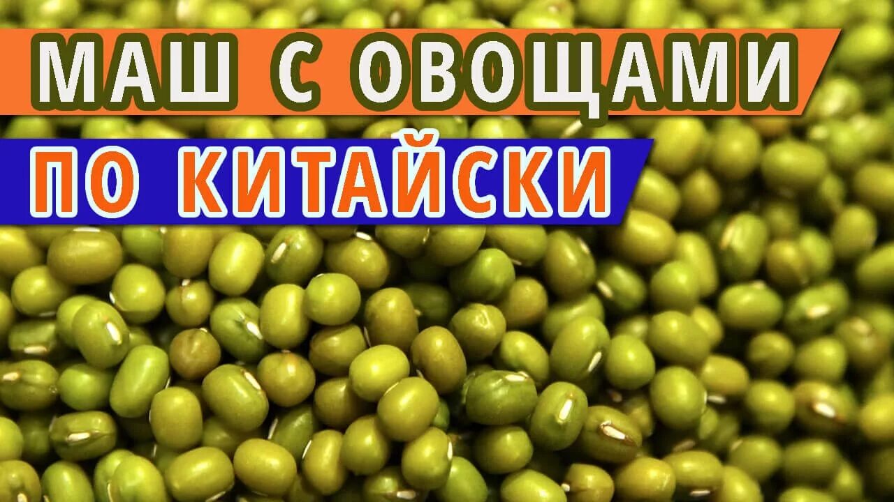 Маш с овощами. Бобы маш. Маш фасоль зеленая. Mache овощ. Машь как правильно