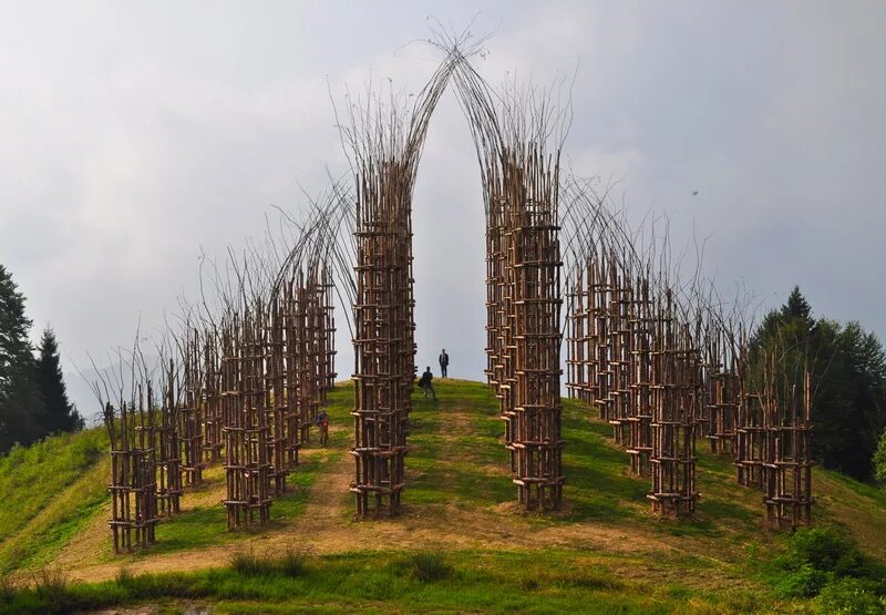 святилище живы. соборные деревья италия. храм из деревьев в италии. живой храм джулиано маури. живой храм cattedrale vegetale.