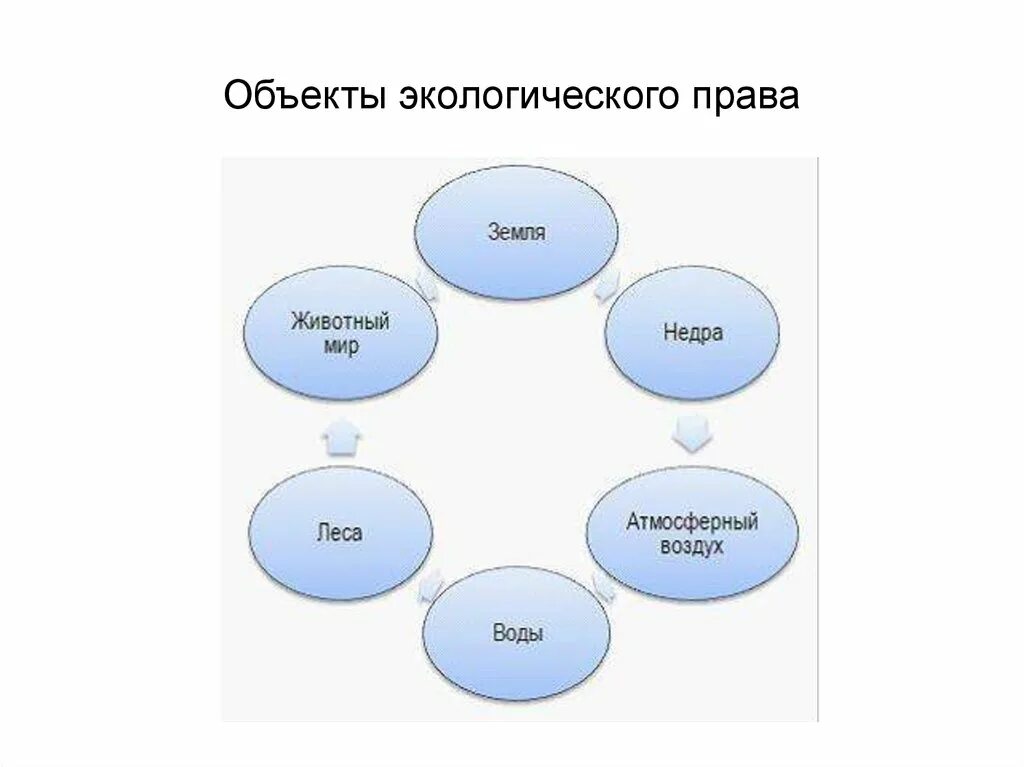 Окружающее являться. Основные виды объектов экологического права. Схема виды объектов экологического права. Пекты экологического права,. Обьеут ыэкологического прыва.