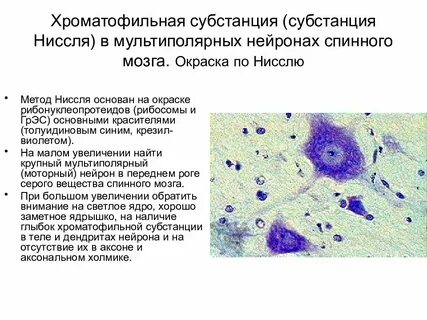 Субстанция препарат