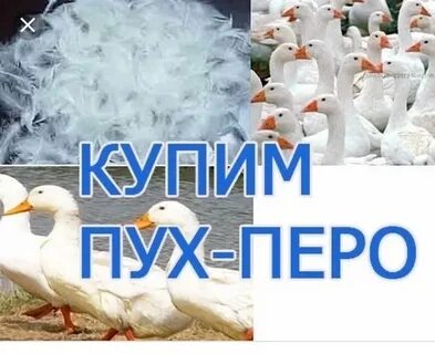 Прием пера