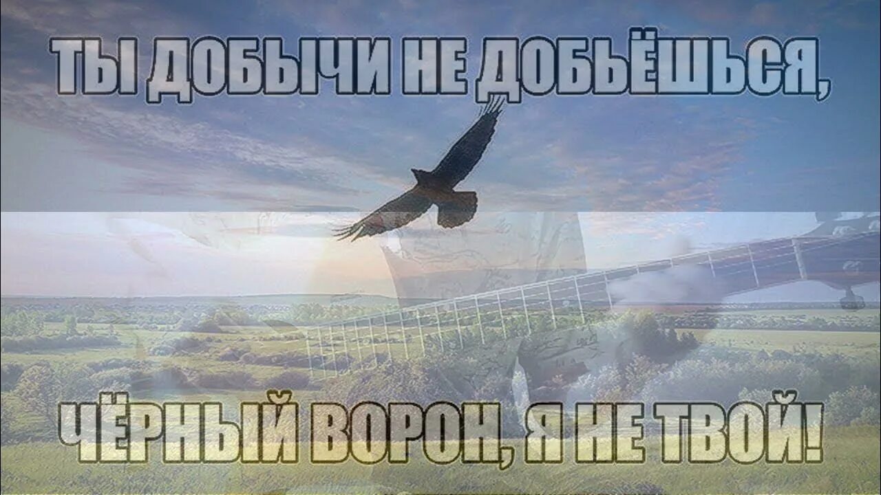 Чёрный ворон песня. Черный ворон текст. Черный ворон я не твой. Чёрный ворон текст караоке.