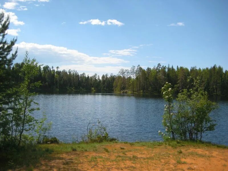 Озера на кв м. Белое озеро шатура. Голубое озеро ульяновская область. Гидроторф голубое озеро. Ульяновск карьер голубое озеро.