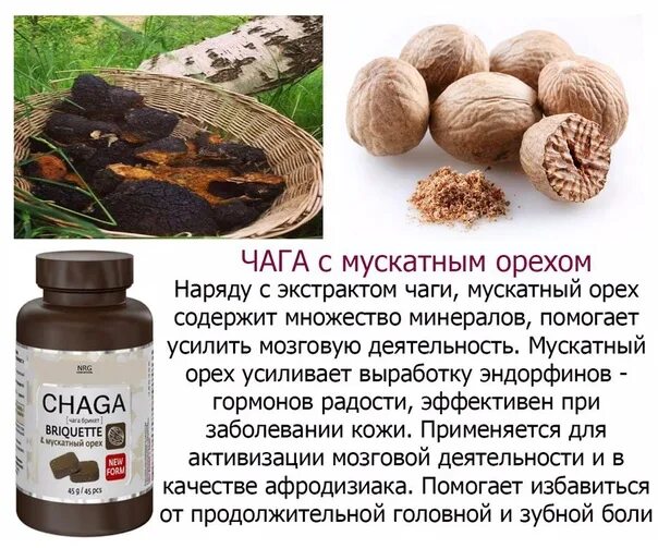 Чага NRG International. Экстракт мускатного ореха. Мускатный орех. Экстракт из мускатного ореха. Мускатный орех польза и вред