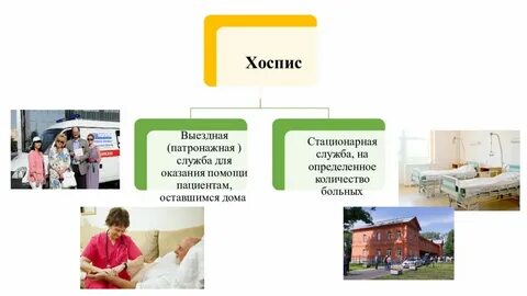 Выездные патронажные службы паллиативной помощи