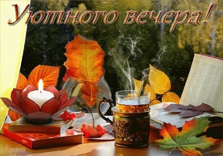 Добрый вечер листья