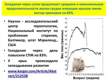 Температура крыс