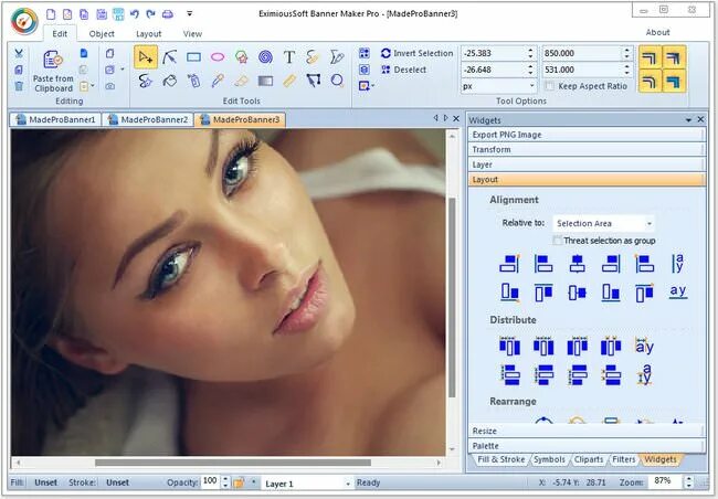 Image maker. Баннер программы. banner maker pro. eximioussoft banner maker v5.43 уроки. free animated banner maker.
