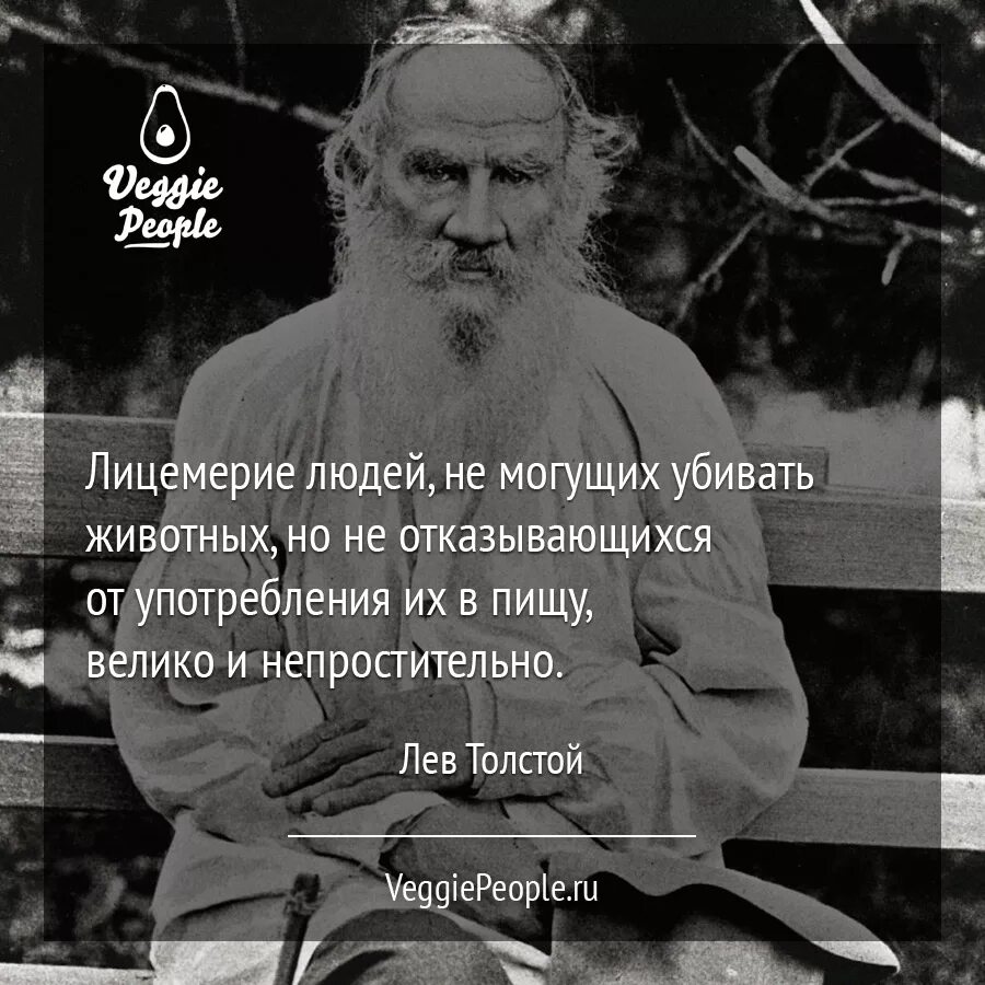 Лицемерие цитаты. Лев толстой о вегетарианстве. лев николаевич толстой цитаты. лев николаевич толстой вегетарианец. лев николаевич толстой за вегетарианство.