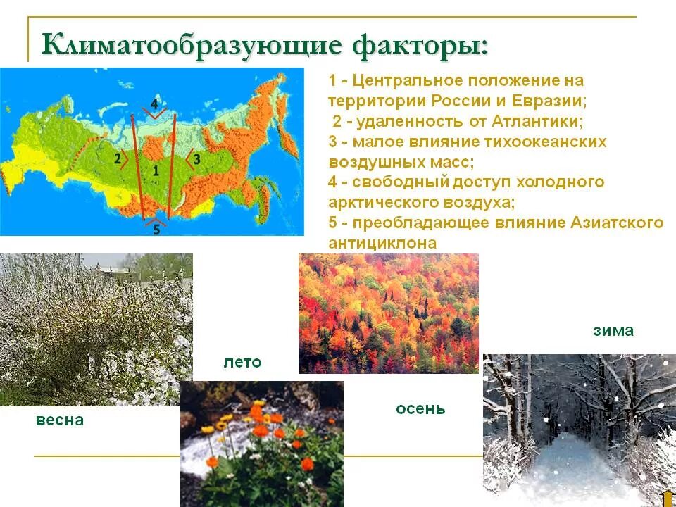 На формирование климата оказывает влияние