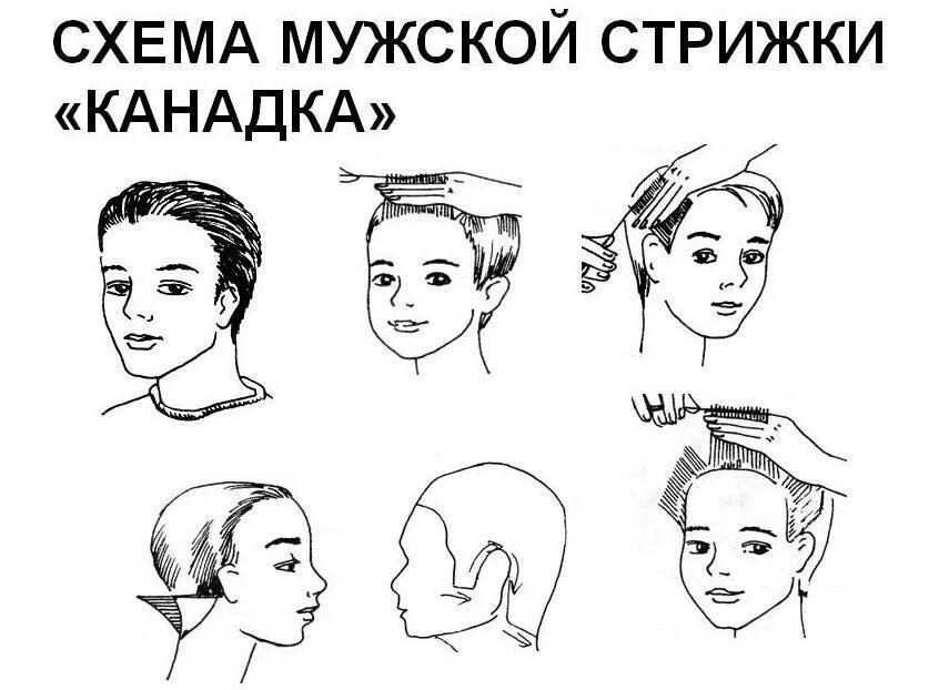 Схема выполнения. Схема стрижки канадка мужская. мужская стрижка канадка технология. схема стрижки канадка машинкой. мужская стрижка канадка технология выполнения схема.