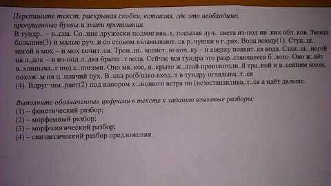 Раскройте скобки и запишите слово абрикосы