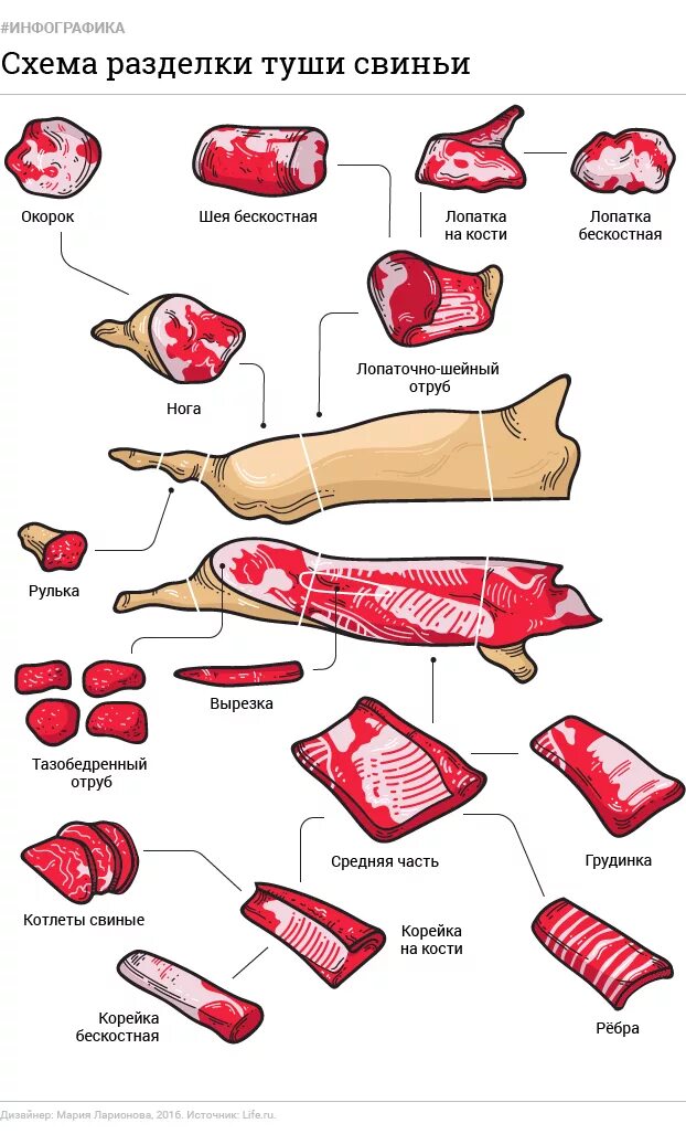 Карбонат какая часть свинины. Классическая схема разделки туши свиньи. Карбонат часть туши свиньи. Вырезка свиная часть туши. Свинья разделка туши схема.