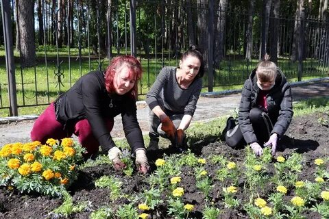 Цветы заводоуковск