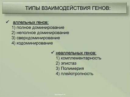 Виды генов