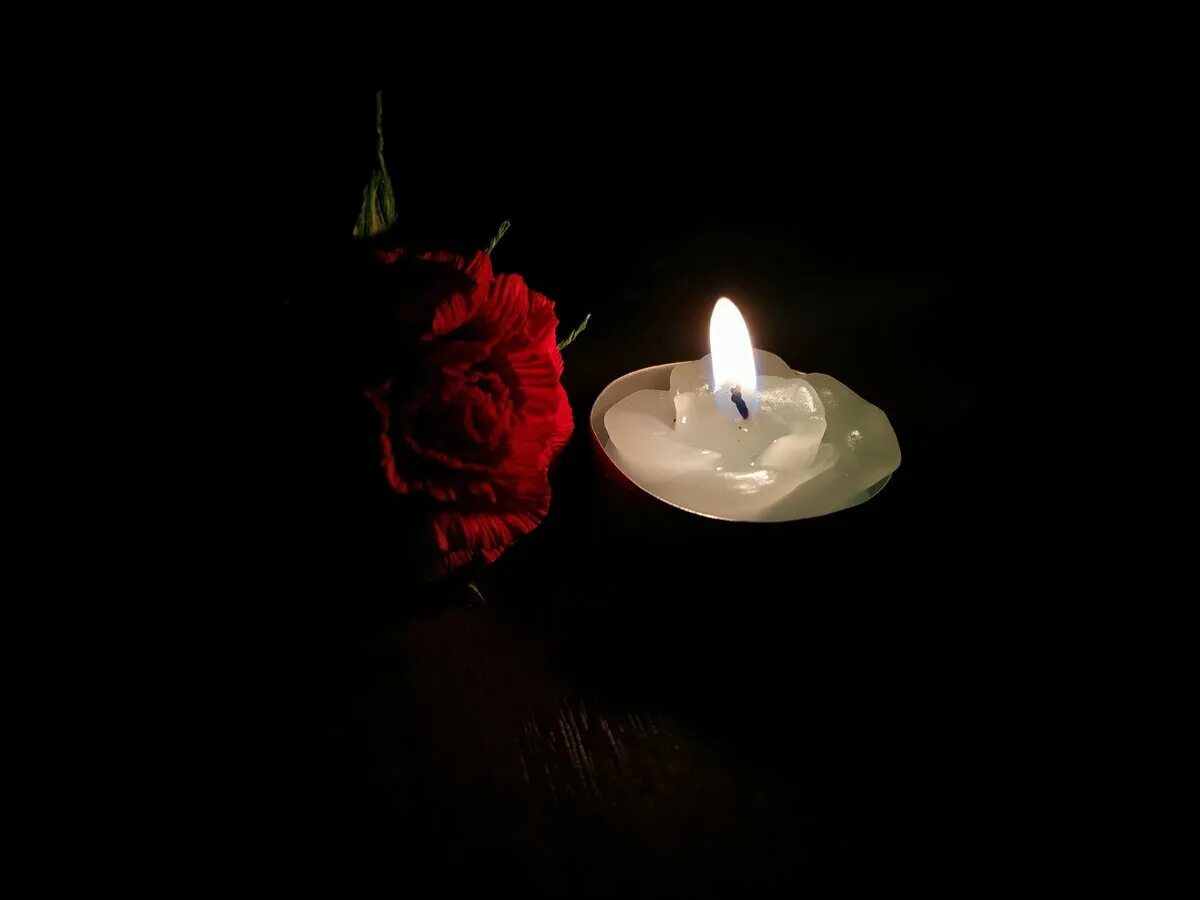 Свеча траурная крокус. Свечка с розой. Розы и свечи. Траурная свеча.