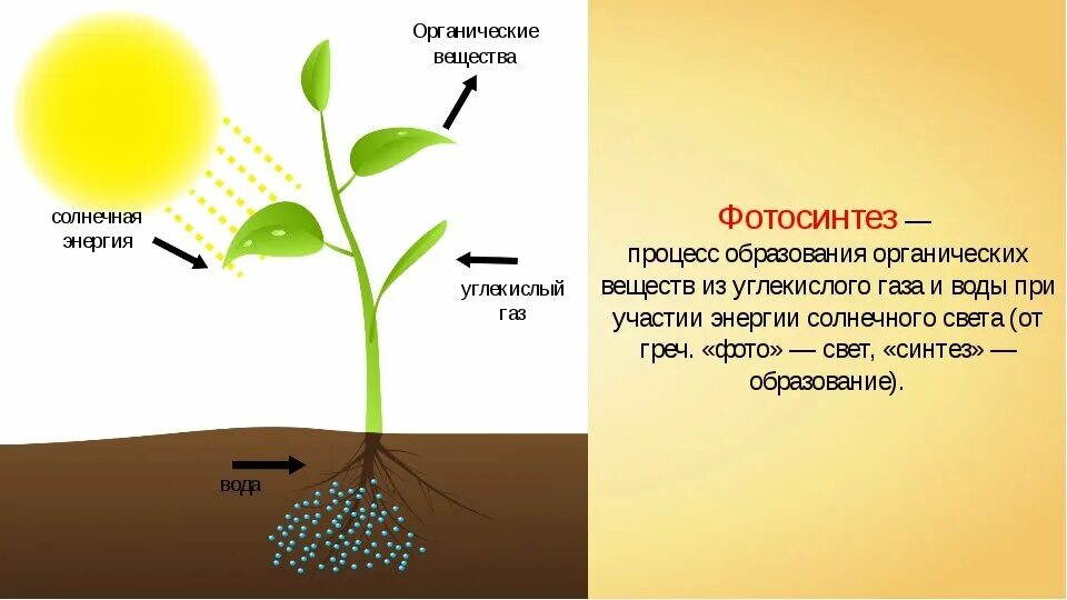 Как происходит питание