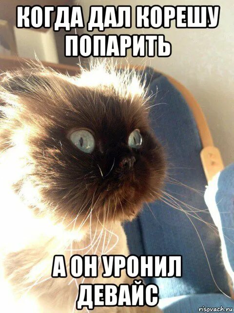 Дай подик. Дай попарить. дай попарить мем. картинка дай попарить. хочу попарить.