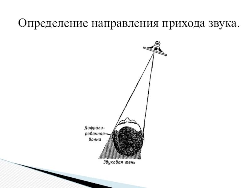 Определить направление звука. Определение направления звука. Как определить направление звука. Определение направления источника звука. Механизмы определения направления на источник звука..