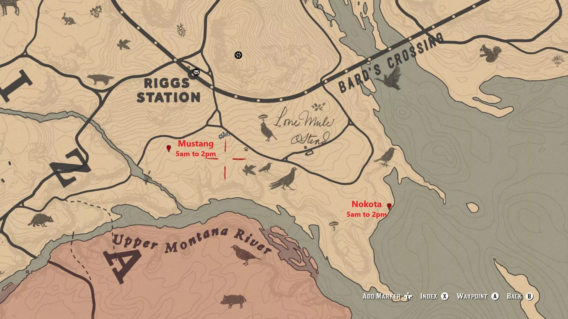 Опоссум в рдр 2. Red dead redemption 2 опоссум. виргинский опоссум рдр2. рдр2 опоссум на карте. тушка опоссума rdr2.