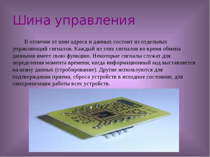 Шины управления шины данных шины. Шина данных шина адреса шина управления. адреса шины данных. шина в микропроцессоре. адресная шина процессора.