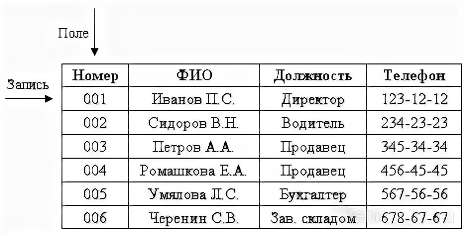 Разные типы полей имеют разное назначение и разные свойства.