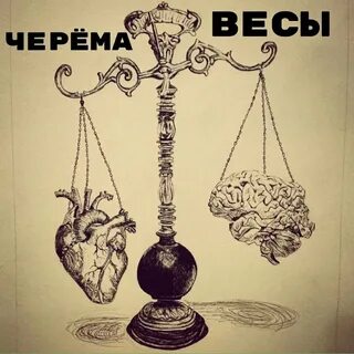 Весы их жизнь