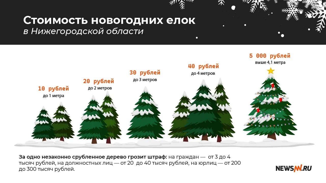Когда ставить елку в 2025 году. Когда ставить елку в 2025 году