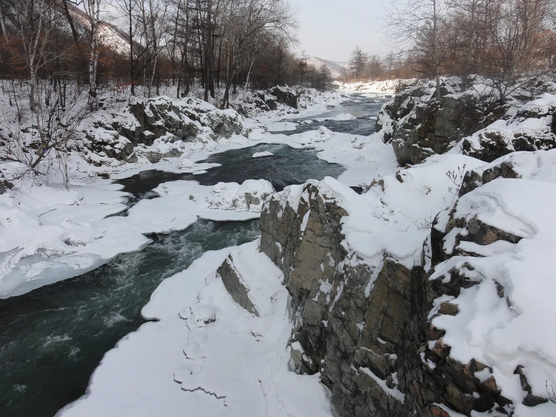 Река руда. Вологда заповедник дарвинский заповедник. Керан река руда. Тиманский кряж республика коми. Дарвинский заповедник рыбинское водохранилище.