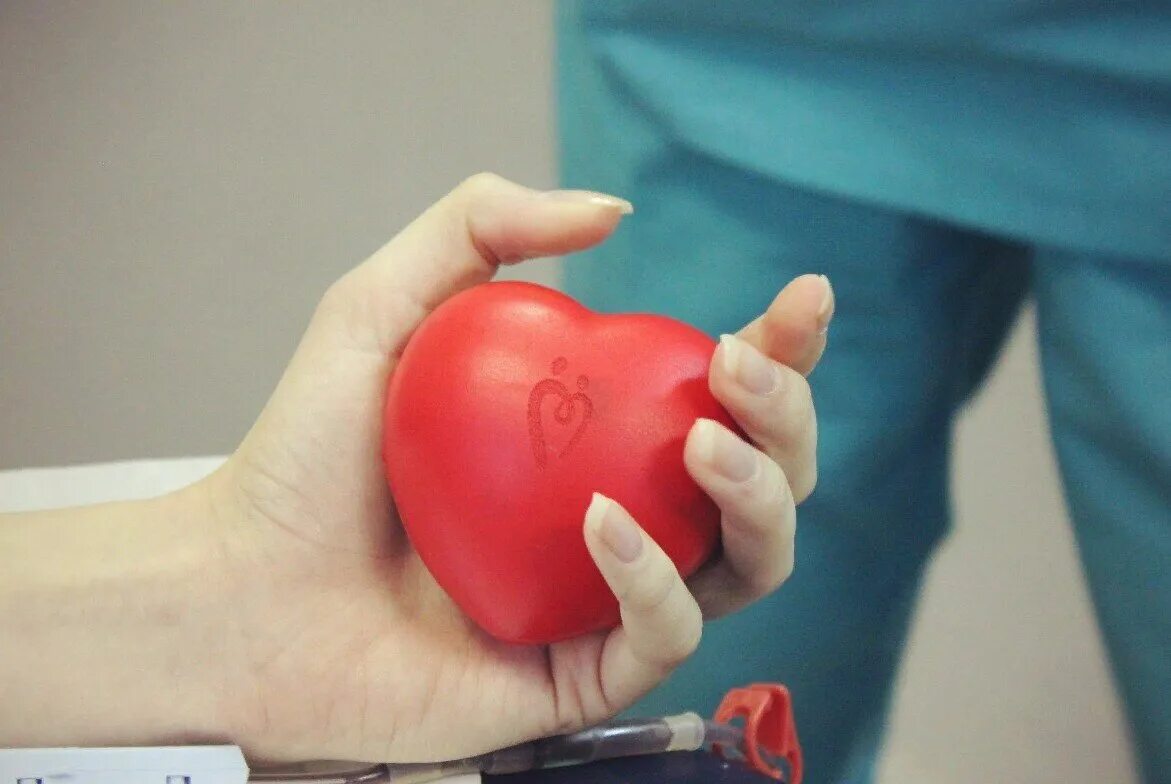 Донорство гомель. Донорство. донар.