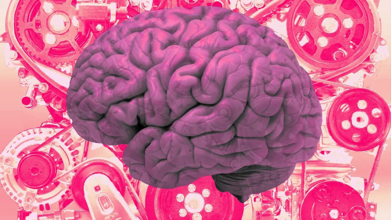 Современный мозг. Мозг розовый. Мозг картинка.