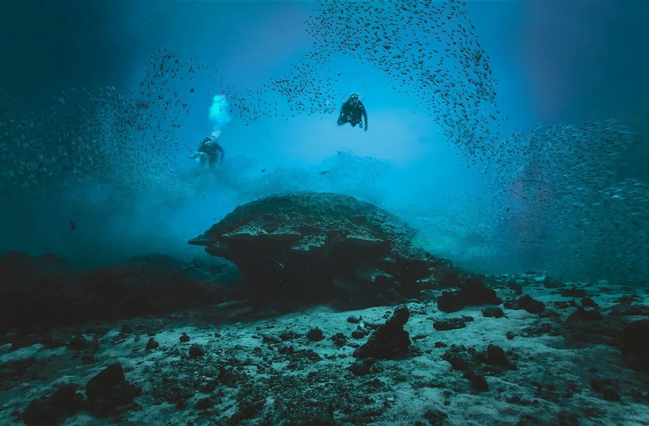 Сенот Ангелита Мексика. Андаманское море глубина. Океаны. Глубина. Морские глубины.