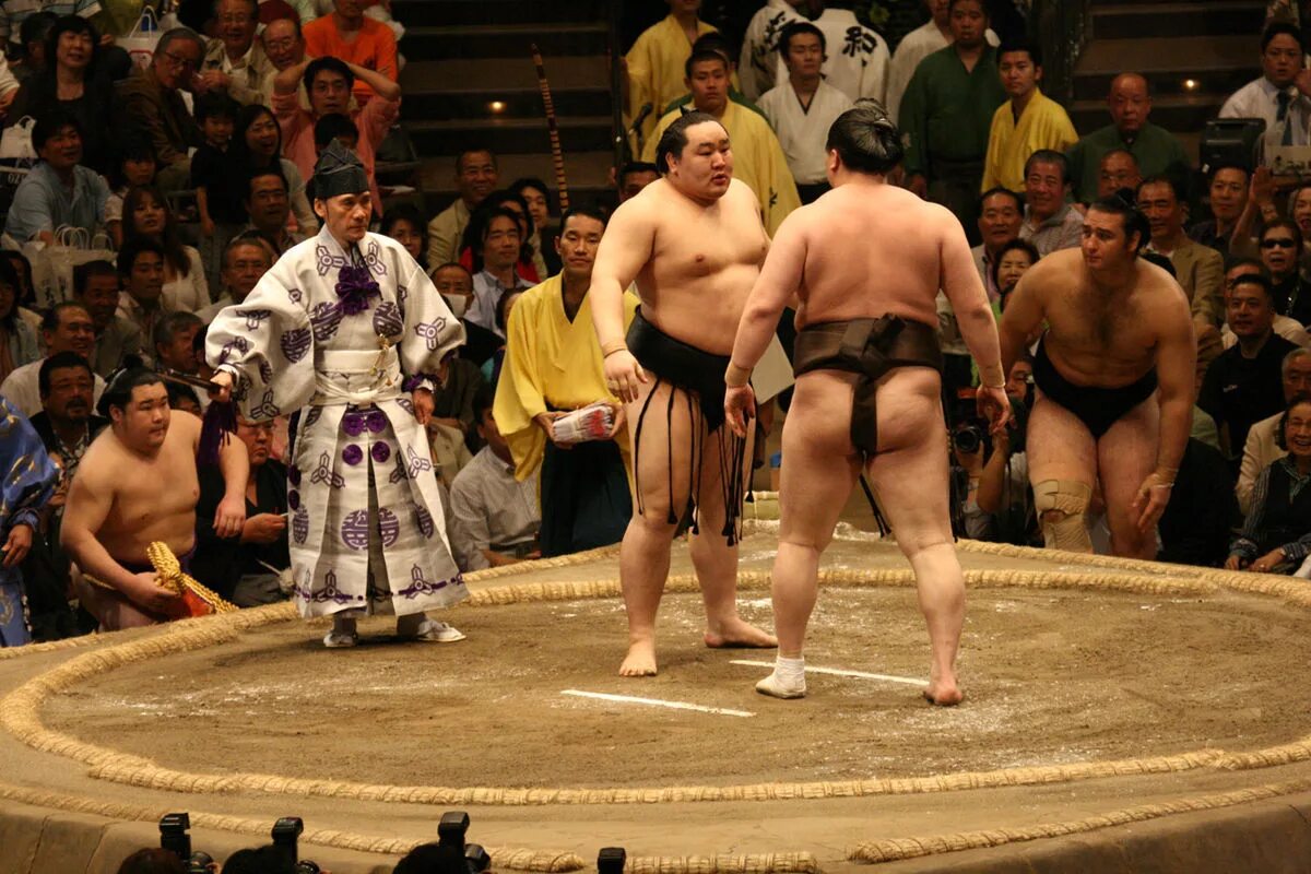 2 sumo