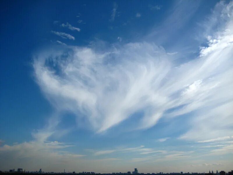 Sky ii
