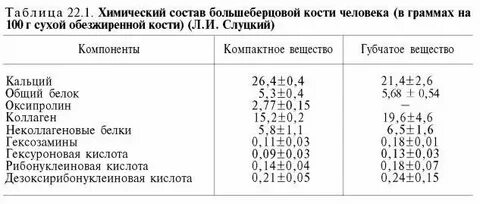 Состав кости органические и неорганические