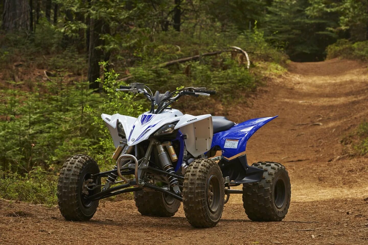 Формате квадро. Квадроцикл yamaha yfz450r. квадроцикл ямаха юфз 450. yamaha raptor 450. квадроцикл ямаха раптор 450.