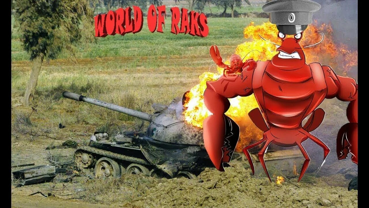 Осторожно танки. Лрн леха в боль видео. World of tanks лучшие раки. Танки браузерная игра. Смешной танк.