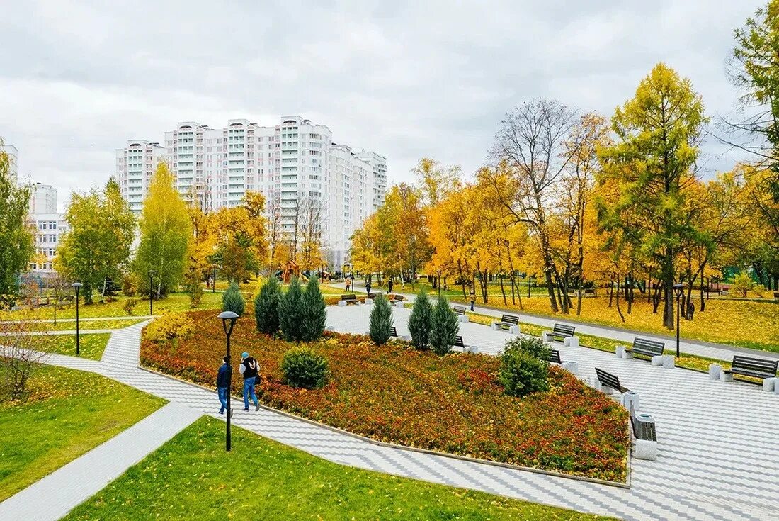 Погулять зеленограде. Дендропарк Зеленоград. Сквер в Зеленограде. Парк 60 летия Победы Зеленоград. Парк 40 летия Победы Зеленоград.