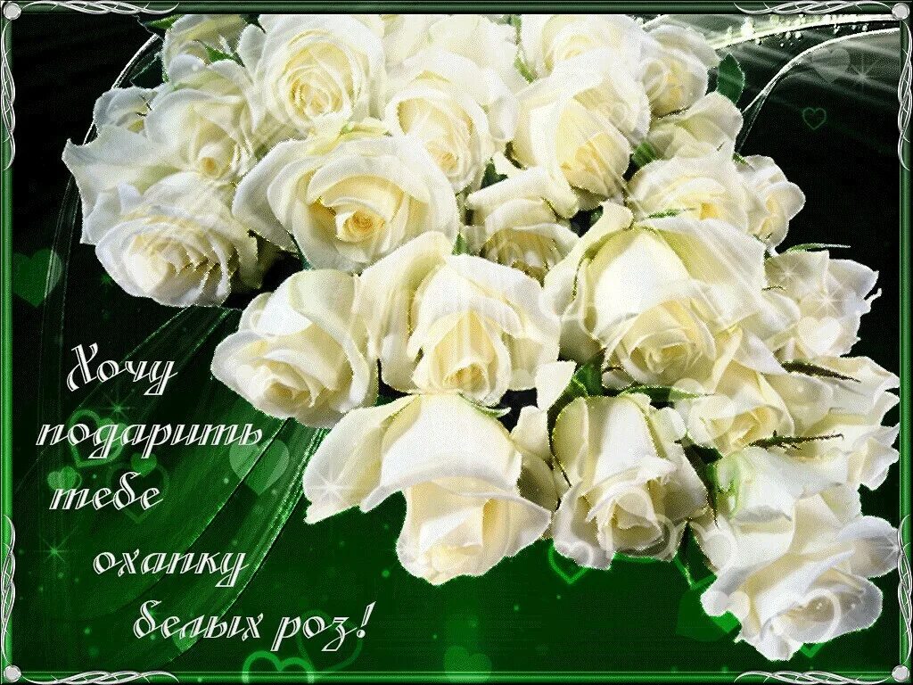 Открытка с днем рождения белые розы женщине. Открытки. Букет роз с пожеланиями. Открытки с бедами розами. Открытки с днем рождения белые розы.