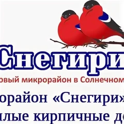 Снегири красноярск магазин