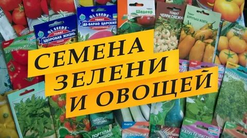 Семена овощей и зелени