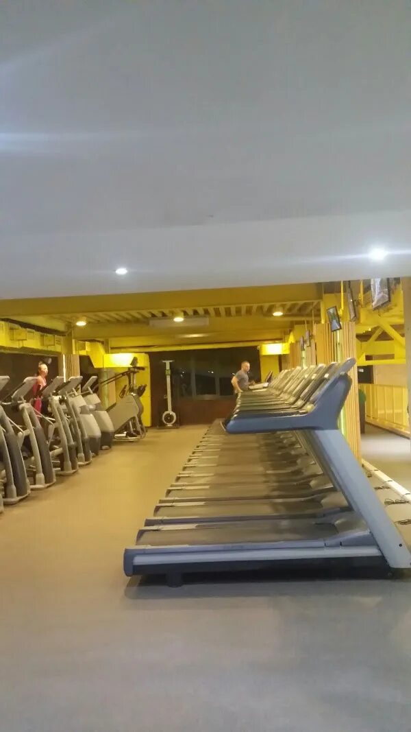 Wegym звёздный томилино. Ви гум звездный томилино. Ви джим звездный. Ви джим звездный. Ви джим звездный.