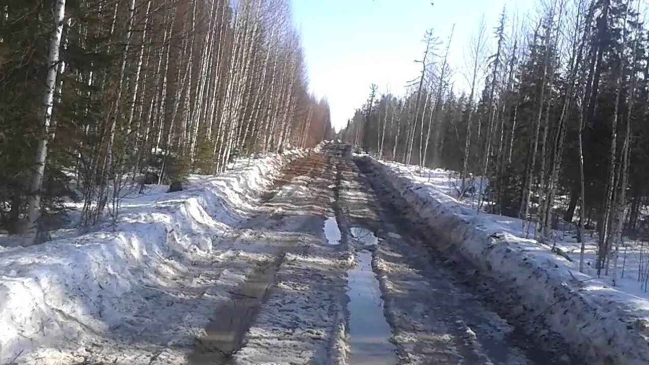 Талдомский автодор. М4 мост через дон. Автодор переправы. 22. Автодор переправы.
