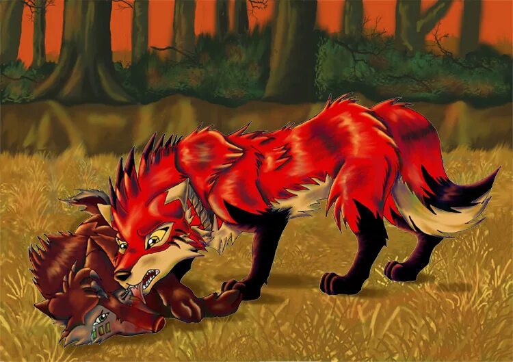 Аниме лиса животное. Коты воители лисы. Лисы воители. Коты воители лисёнок. Коты воители лисы.