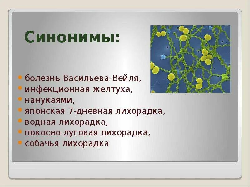 Слитное и раздельное написание не с наречиями на о и е примеры. Синоним к слову сомнение. Текст с синонимами. Синоним к слову не. Болезнь синоним.